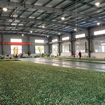 Factory Custom Ripstop Double Layers 600D Desert Jungle Camouflage Netting for Camping Hunting Camouflage Net